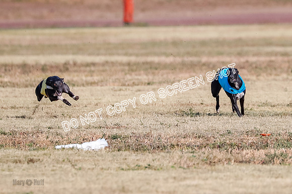 Open 1, Flight B, Sealli-Bindi-Fayde-5754