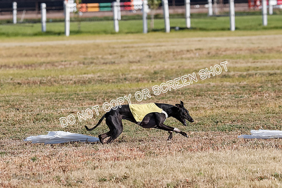 Open 1, Flight B, Sealli-Bindi-Fayde-5772