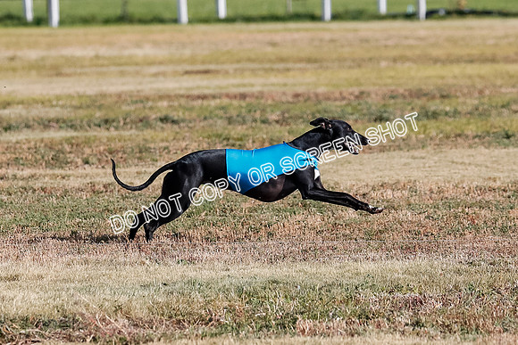 Open 1, Flight B, Sealli-Bindi-Fayde-5771