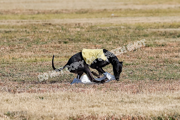 Open 1, Flight B, Sealli-Bindi-Fayde-5774