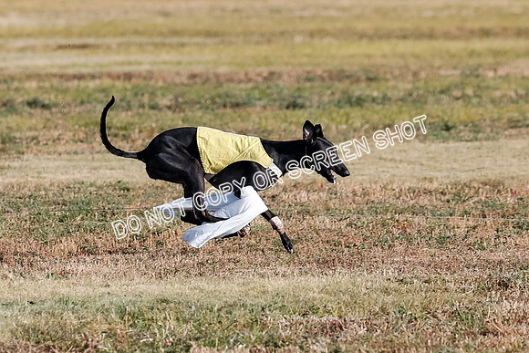 Open 1, Flight B, Sealli-Bindi-Fayde-5778