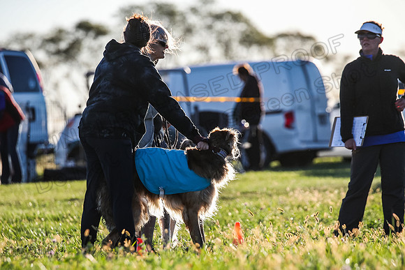 1 Prelims Fch 1 Shay Sunny Rhett-2869