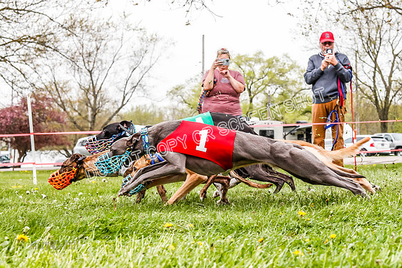 WRA, Prg 3, Race 7, Jubilee Sparks Snacks Tahoe Babblez Stormy-9205