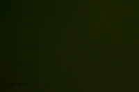 Cat Test 1-0481