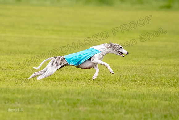 Prelims Misty-0625