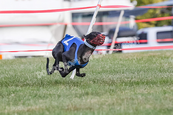 Prg 1, race 4, Rarity Hillary Barley Clyps-0639