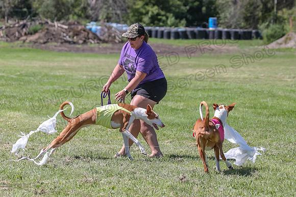 Finals Fch 2 Beastie Ginny-8344