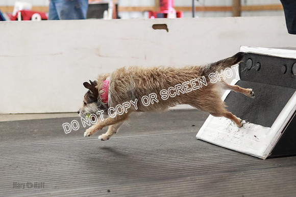 AE4I2078