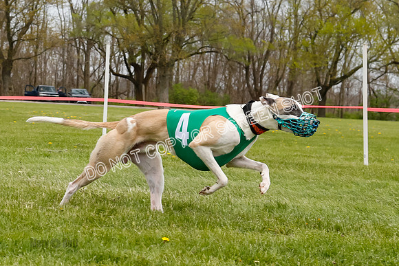 WRA, Prg 4, Race 5, Tahoe Tsunami Jamie Sandy Scooter-9347