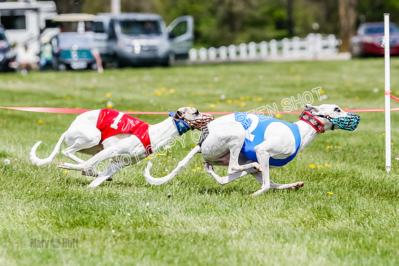 NOTRA Program 3, Race 3, Eddie Elvis Picanha Coyote-2-29