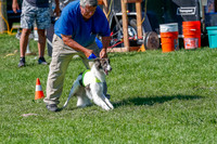Silken Windhound Prelim, Finnegan-2944
