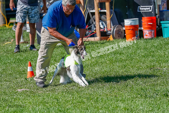Silken Windhound Prelim, Finnegan-2944