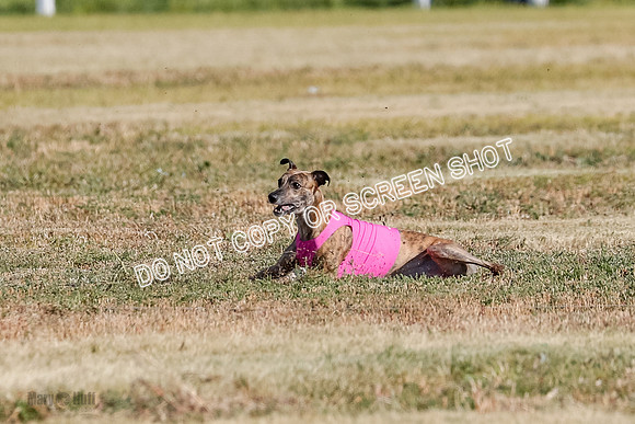 Specials 1, Prelim, Charlie-Gator-Winta-6116