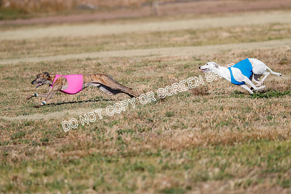 Specials 1, Prelim, Charlie-Gator-Winta-6096