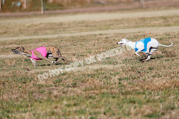 Specials 1, Prelim, Charlie-Gator-Winta-6097