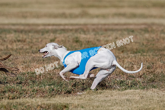 Specials 1, Prelim, Charlie-Gator-Winta-6108