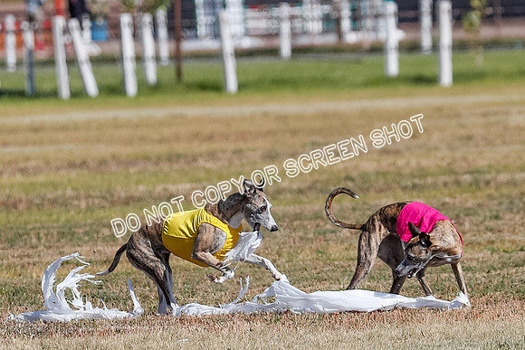 Open Veteran 3, Prelims, Rue-Carmen-6494