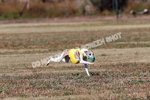 Open 1, Flight B, Finals, Squiggles-Thor-Kaia-6769