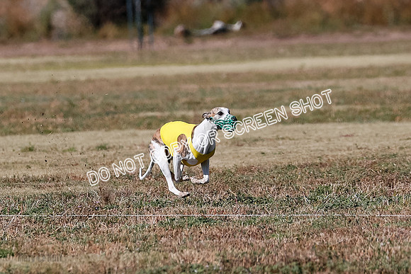 Open 1, Flight B, Finals, Squiggles-Thor-Kaia-6771