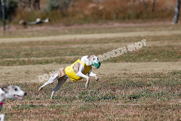Open 1, Flight B, Finals, Squiggles-Thor-Kaia-6772