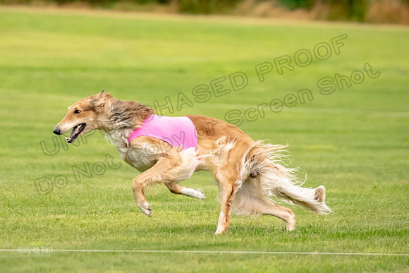 Open Prelim 2, Masquerade Freebie-0539