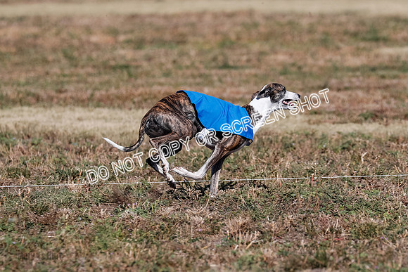 Open 1, Flight B, Finals, Squiggles-Thor-Kaia-6791