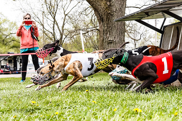 WRA, Prg 3, Race 9, Chernobog Jamie Cheetah Maybe Riggs Voodoo-9229