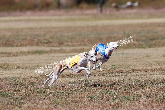 Veteran 2, Final, Arya-Manning-Piper-7114