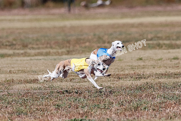 Veteran 2, Final, Arya-Manning-Piper-7115
