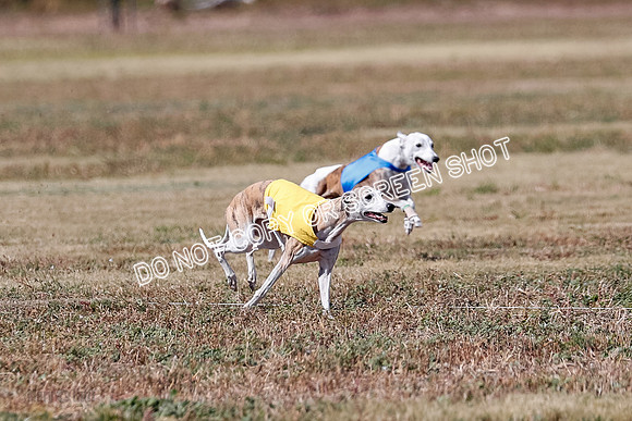 Veteran 2, Final, Arya-Manning-Piper-7116