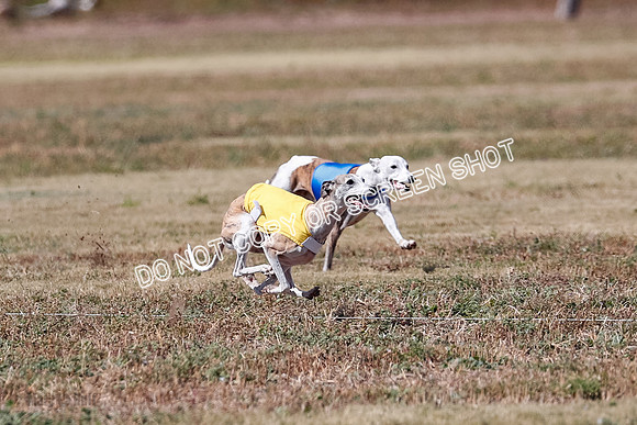 Veteran 2, Final, Arya-Manning-Piper-7117