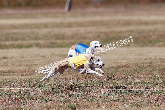 Veteran 2, Final, Arya-Manning-Piper-7119