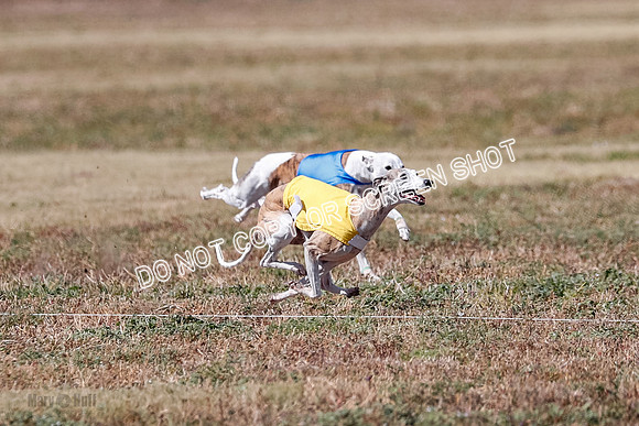 Veteran 2, Final, Arya-Manning-Piper-7121
