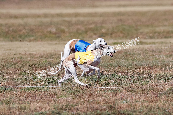 Veteran 2, Final, Arya-Manning-Piper-7122