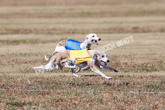 Veteran 2, Final, Arya-Manning-Piper-7123