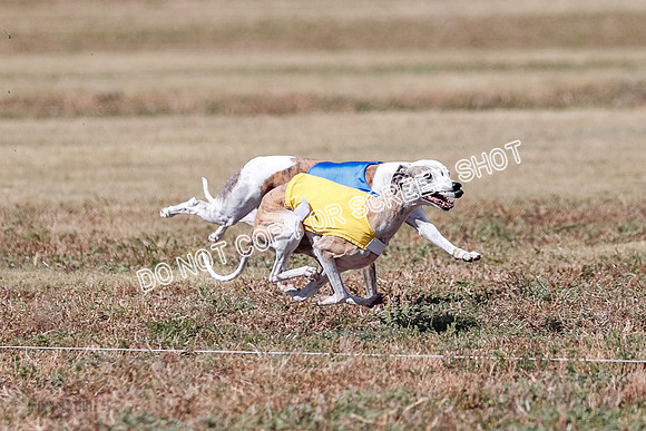 Veteran 2, Final, Arya-Manning-Piper-7125