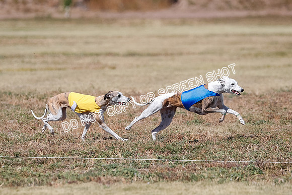 Veteran 2, Final, Arya-Manning-Piper-7126