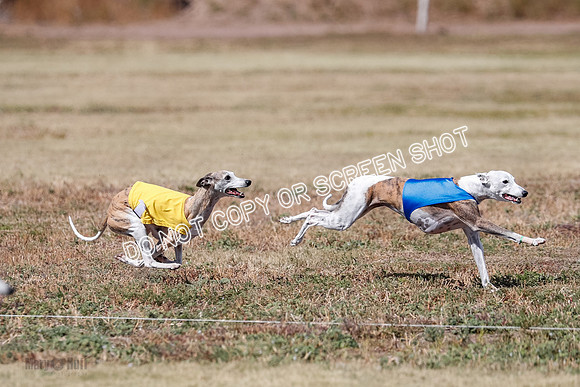 Veteran 2, Final, Arya-Manning-Piper-7127