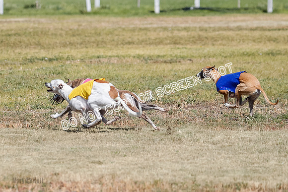 Open Flight A Run Off 3-4-5-7178