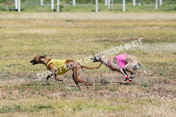 Open Flight A & B Run Off -7202