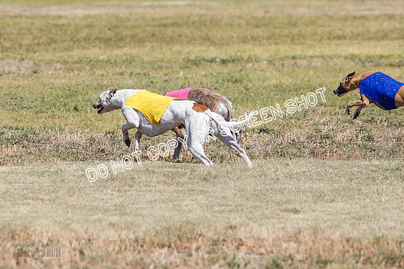 Open Flight A Run Off 3-4-5-7179