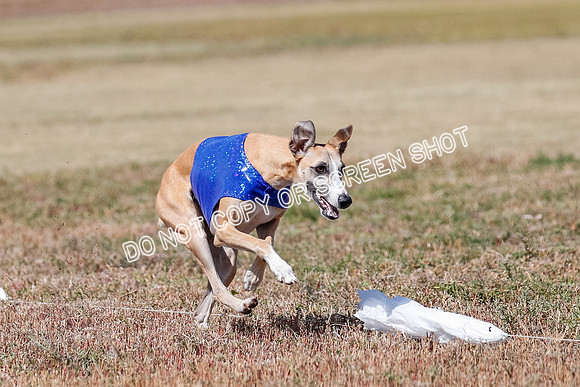 Open Flight A Run Off 3-4-5-7182
