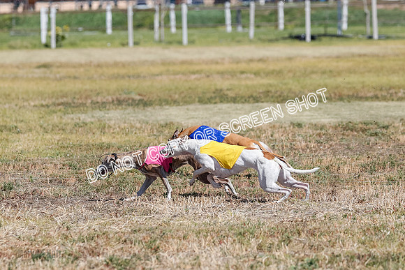 Open Flight A Run Off 3-4-5-7169