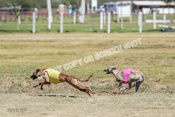 Open Flight A & B Run Off -7207