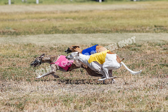 Open Flight A Run Off 3-4-5-7168