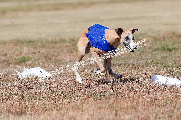 Open Flight A Run Off 3-4-5-7181