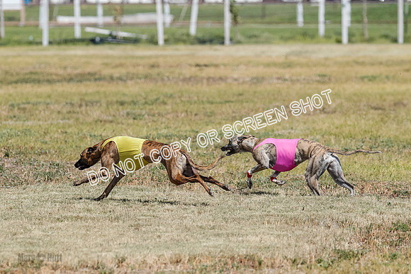 Open Flight A & B Run Off -7206