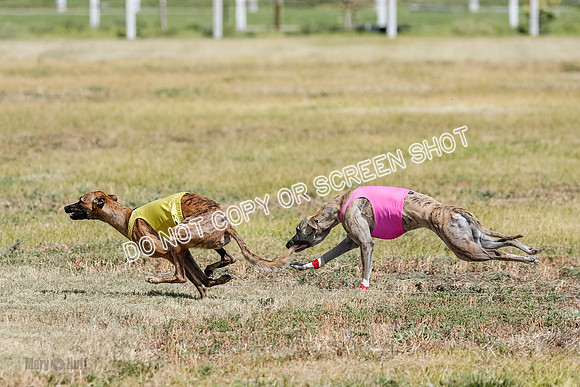 Open Flight A & B Run Off -7204