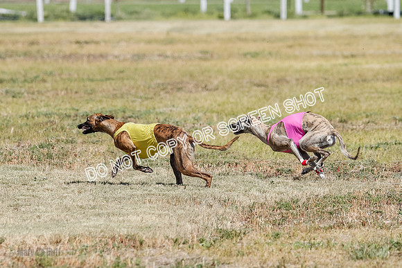 Open Flight A & B Run Off -7205