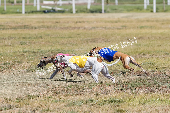 Open Flight A Run Off 3-4-5-7172